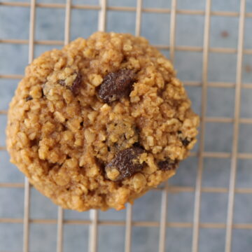 Gluten-free oatmeal raisin cookie on a gold drying rack