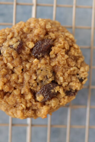 Gluten-free oatmeal raisin cookie on a gold drying rack